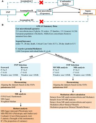 Gut microbiota and sepsis: bidirectional Mendelian study and mediation analysis